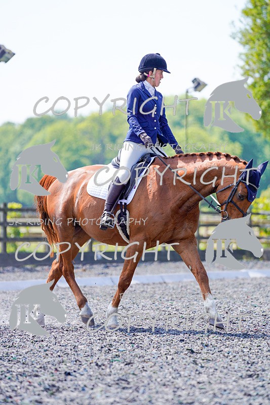 _DSC4038 - ELEM 1
