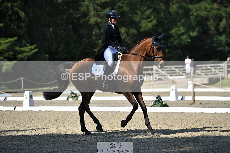 230525-091134-01552 - 303-JESMOND_RENARD-Susie_Berry-WEDTrotUp+DR