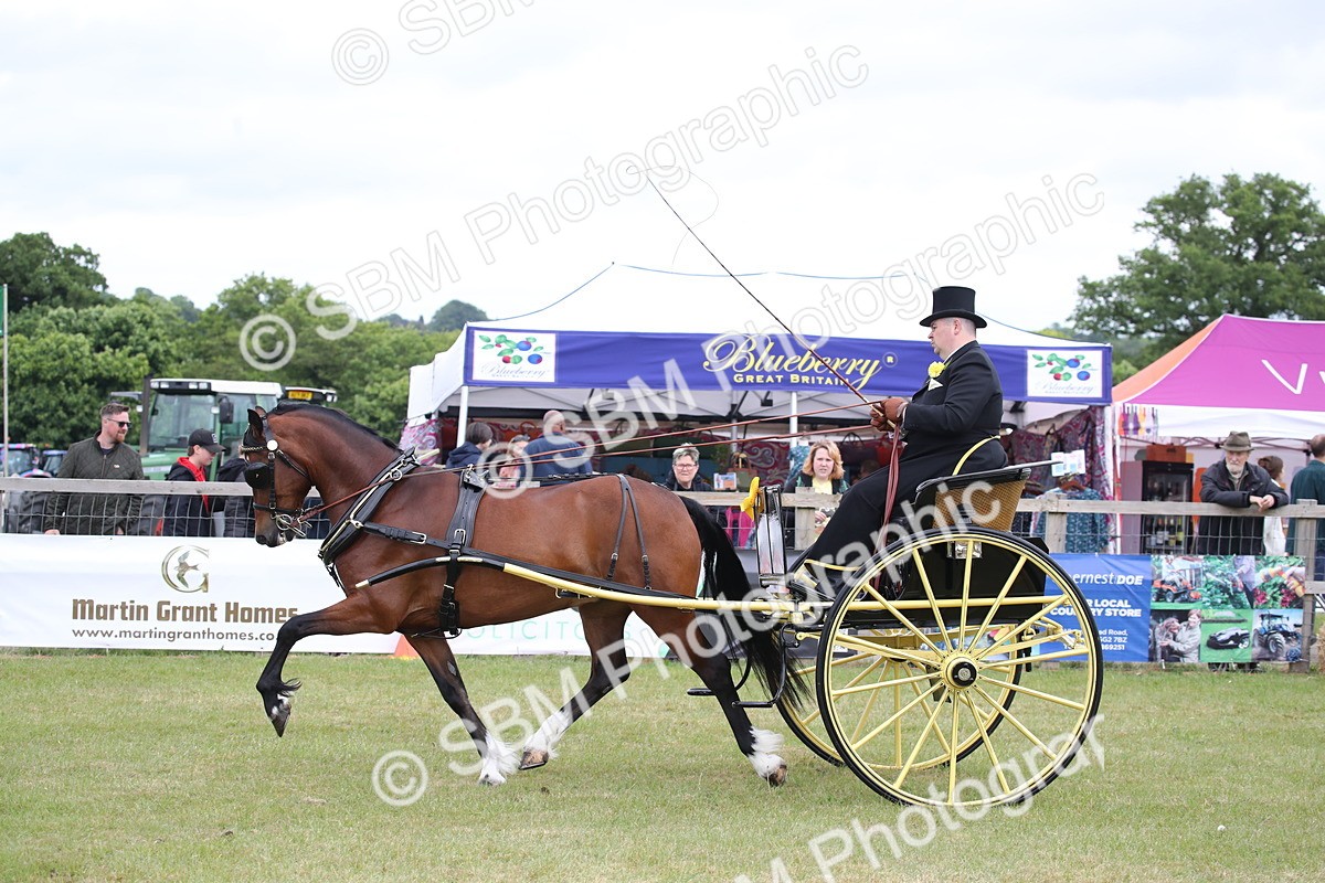 SBM_05807 - Class 12-15 - HOYS Private Driving