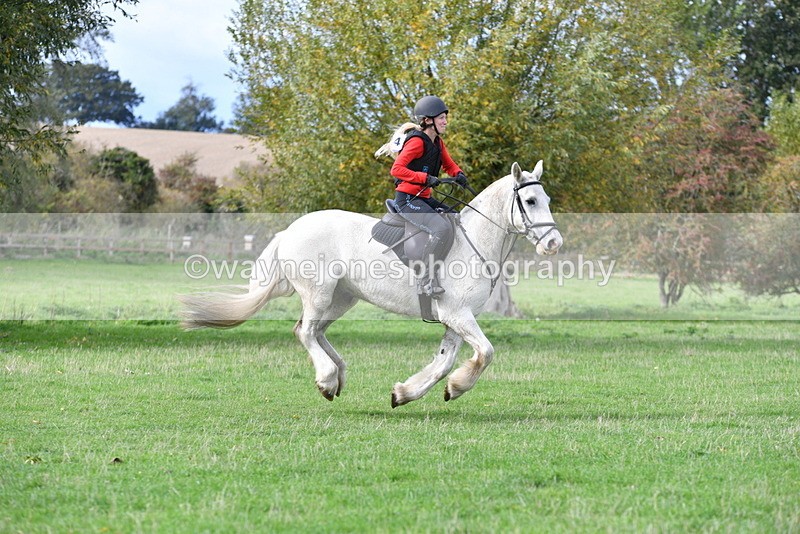 WJ5_0591 - Time 13:59 to 14:28