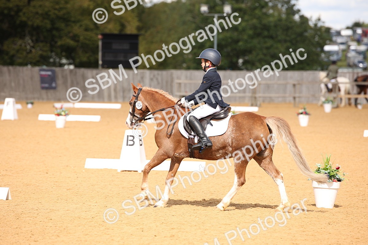 SBM_06770 - D8 Small Tour Championship Prelim 7