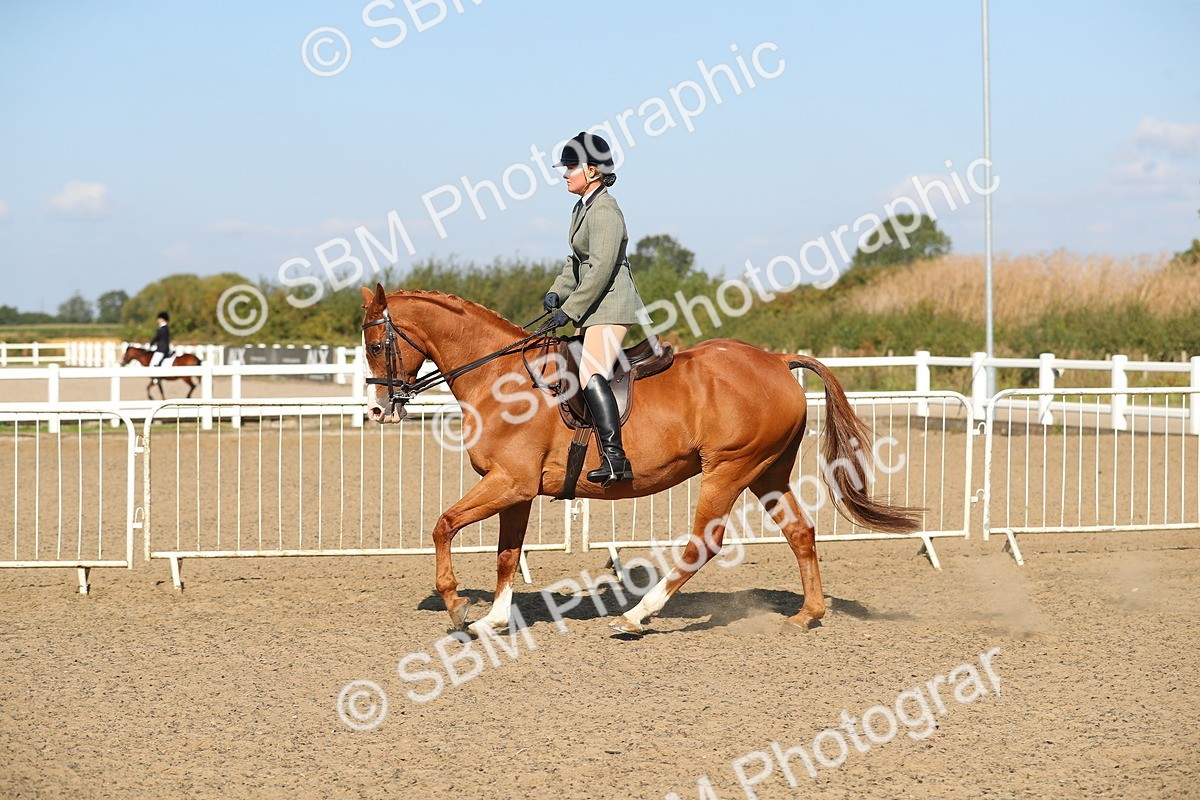 SBM_02244 - Class 43 Ridden Competition Horse/Pony
