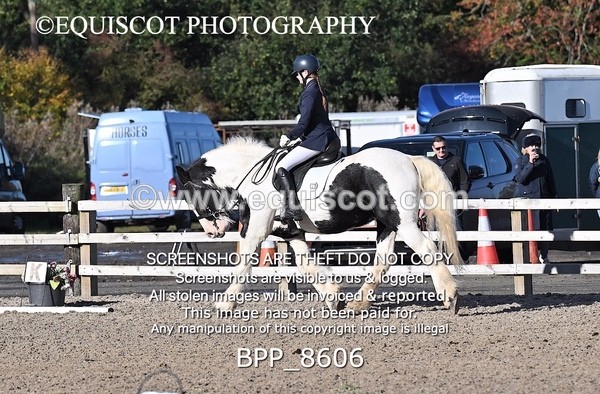 BPP_8606 - SHORT ARENA
