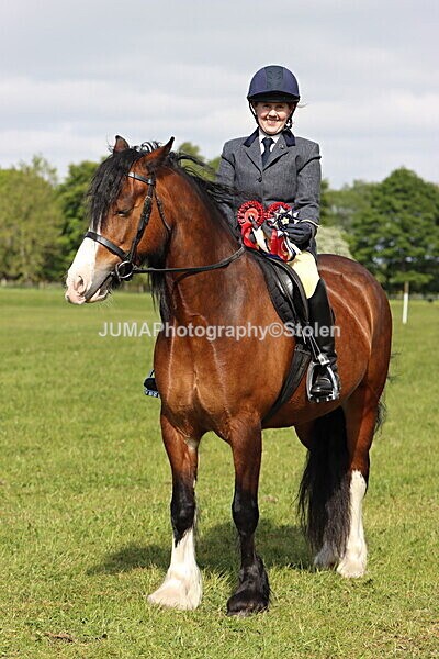 IMG_4916 - Working Hunter