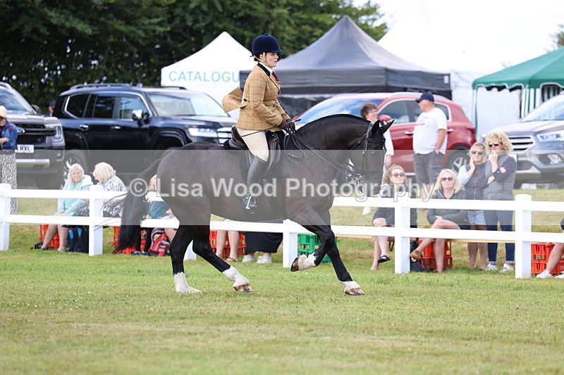 3E7A9690 - Class 5: Rising Star Lightweight/Heavyweight Cobs