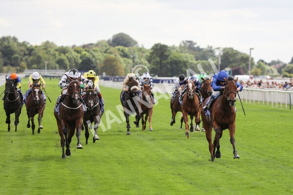 yr19082022r3-25 - Race 3 3.00pm Al Basti Equiworld Dubai Gimcrack Stakes