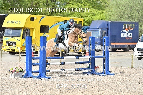 BPP_6706 - CLASS 2 FRI Club/ Unaffiliated 80cms Open