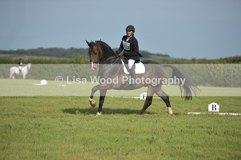 RAY_7958 - Class 2B: Trekenning Open: Dressage
