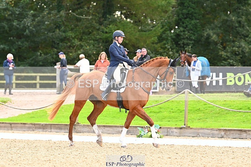 231020-145526-10034 - 311-DALOUBET.MANSOLEIN.Z-Kat.Raybould-DR