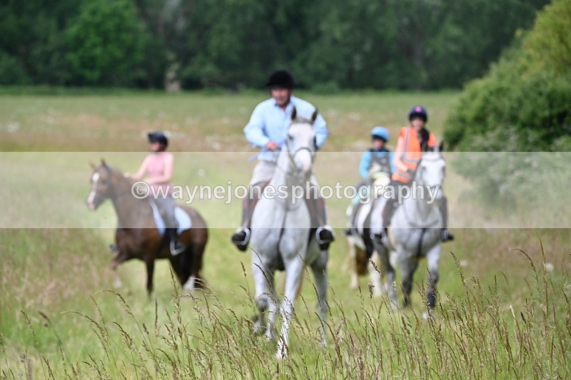 WJ6_8093 - Camera 1 Gallops