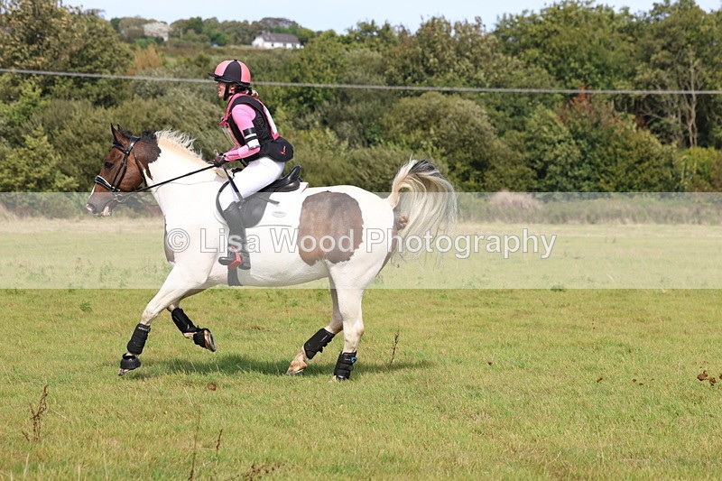 3E7A6805 - Class 2: Trekenning Open: Yellow Boat