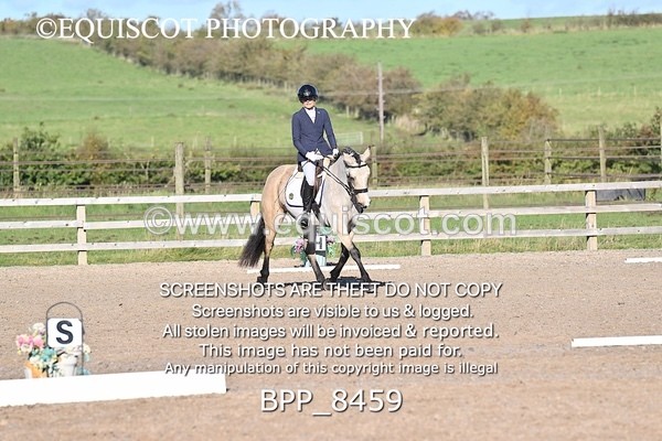 BPP_8459 - SHORT ARENA