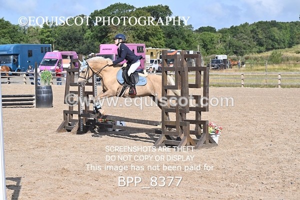 BPP_8377 - 50CM