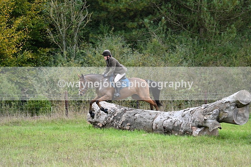 WJ7_3802 - Camera 1 Line 1