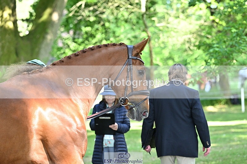 250521A-161600-01026 - C-261-Danielle.Dunn-ICI.DOR.DE.DONNA.CADANZA.Z