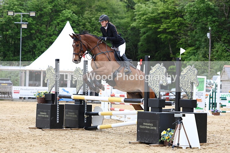 3E7A6042 - Class 4: Senior British Novice/90cm open