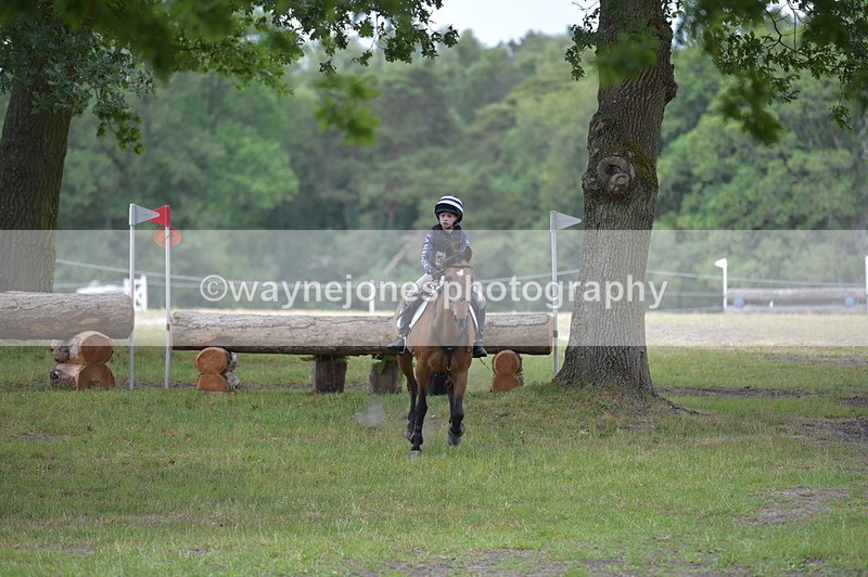 NGP_9161 - Time 12:34 to 12:37