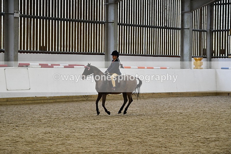 WJ5_6958 - Class 10 Childs Pony