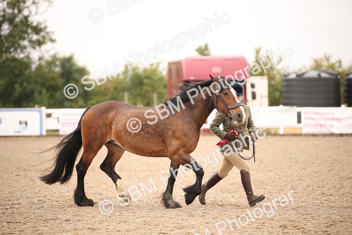 SBM_21535 - Class 706 - IH  Veteran