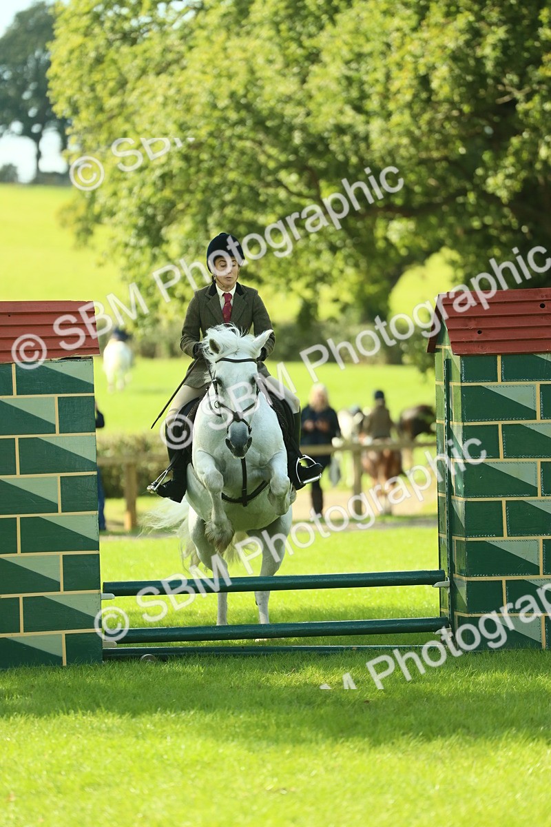 SBM_41998 - S29 - Novice & Newcomers Working Hunter Pony