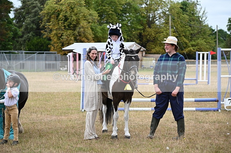 WJ6_9039 - Class 11 Fancy Dress