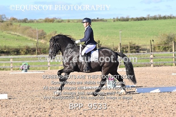 BPP_9533 - LONG ARENA