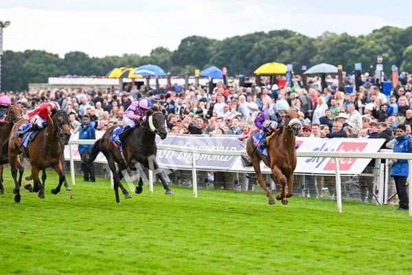240824-Race 1-See The Fire-0976 - Race 1 1.50pm Sky Bet Strensall Stakes
