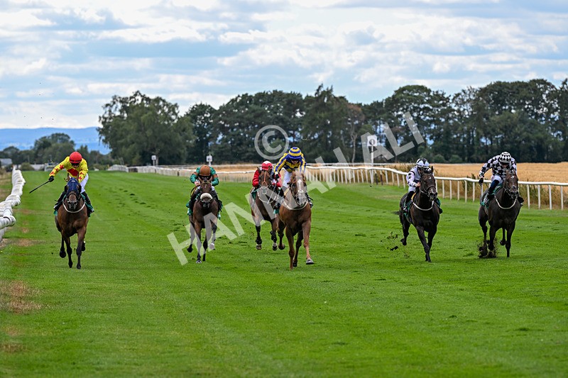 070826-Race 4-Azuinthejungle-1812 - Race 4 15.40pm Ladies' Day Saturday 5th September - Book Now Handicap