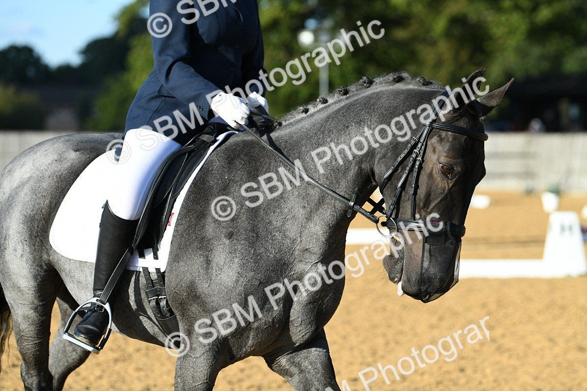 SBM_30709 - D16 - Small Tour Championship - Novice 28