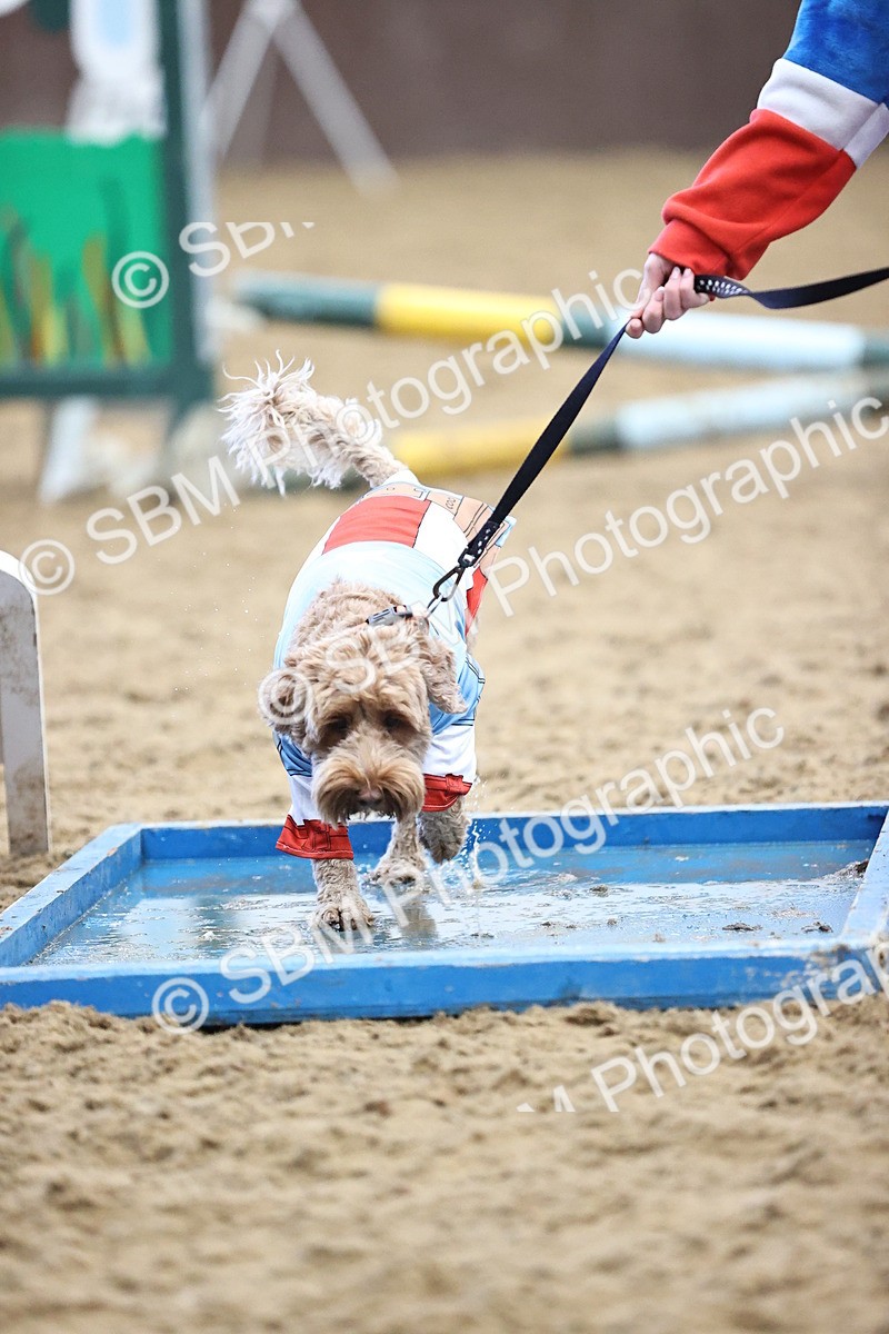 SBM_001614 - Class 3 - Horse & Hound 60cm