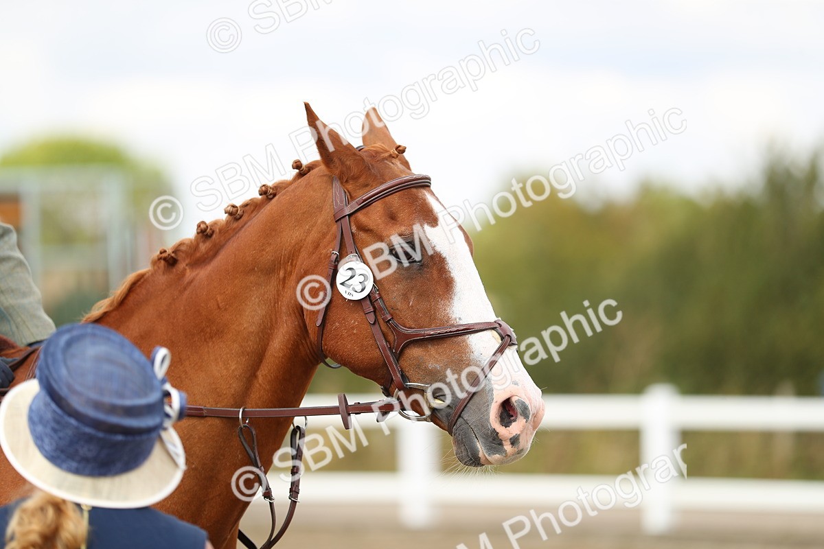 SBM_04778 - Class 46b Style & Performance 50cm (20+)