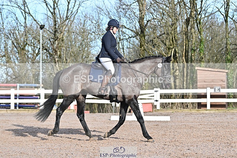 250125-102908-00186 - Dressage - CT Class 4 BE95 (80cm)