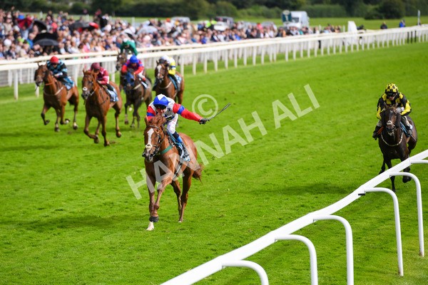 150723-Race 6-Robert Johnson-0636 - Race 6 4.55pm John Smith's Stayers' Handicap