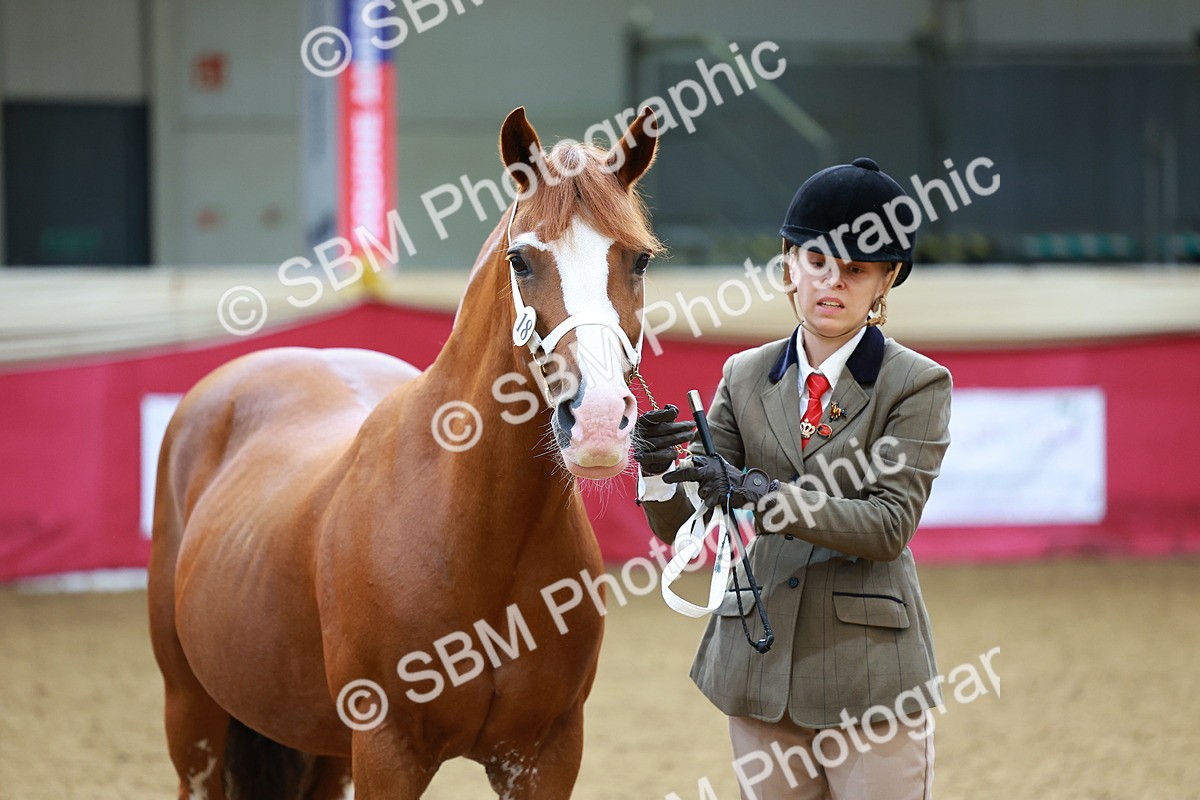 SBM_00573 - Class 3A - IH Pre-Vet