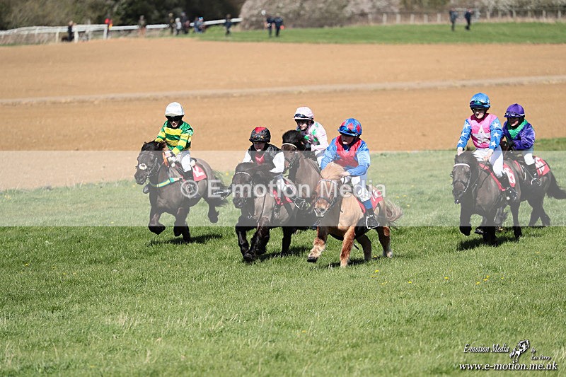 Shet 060426 257 - Shetland Pony Racing Paxford Races Easter Mon 06/04/26