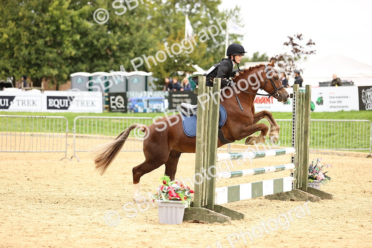SBM_66445 - J17 - Junior Pony 80cm Championship