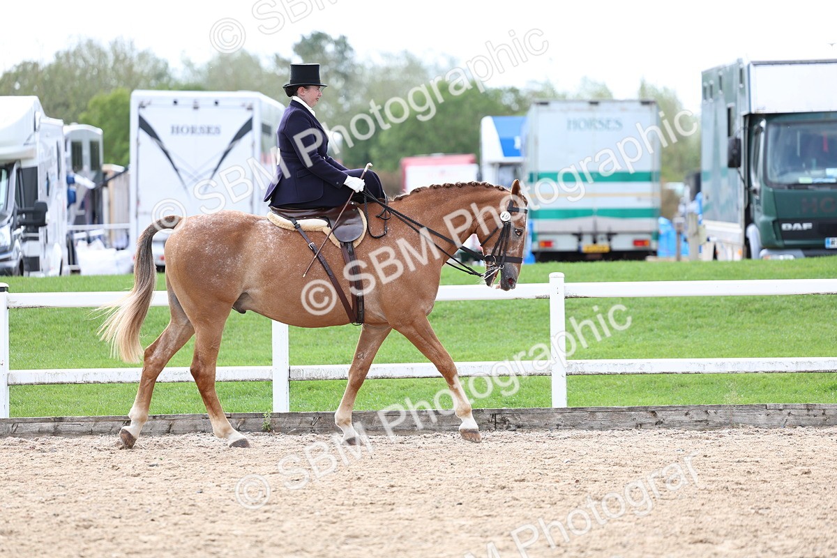 SBM_03171 - Class 22 - SSA Equitation (any age)