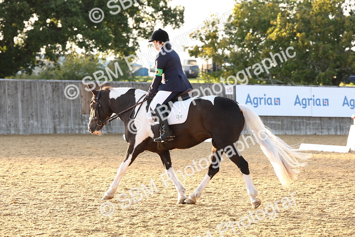 SBM_13572 - D9 - Small Tour Championship Prelim 3