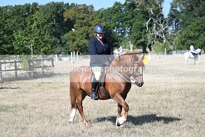 WJ7_3502 - Class 9 Mountain & Moorland Ridden