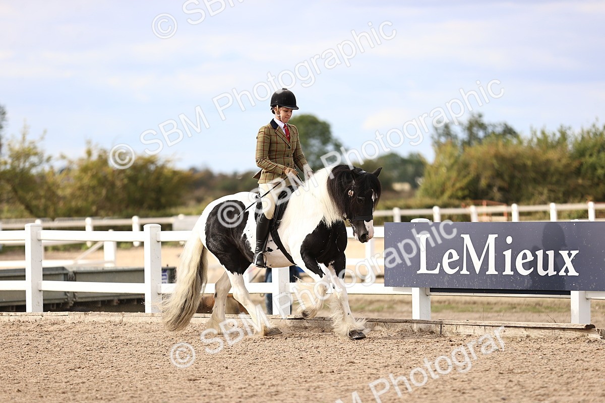 SBM_18176 - Class 423 - Equitation (best rider) Adult