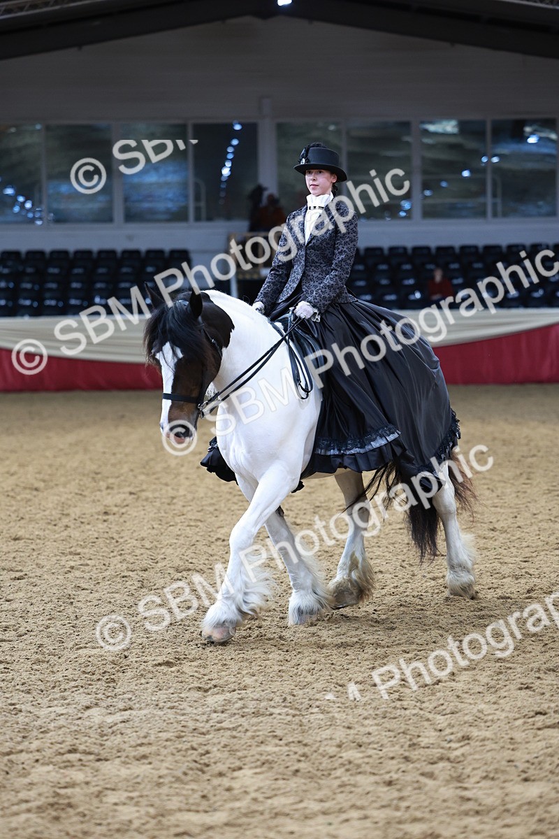 SBM_13779 - Class 106 - Ridden Costume -Astride Adult (15-19)