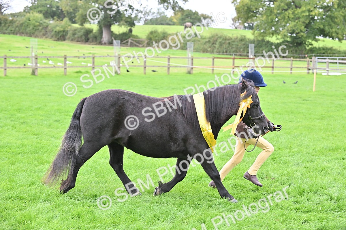 SBM_66837 - S41 - Junior Handler 8 Years & Under