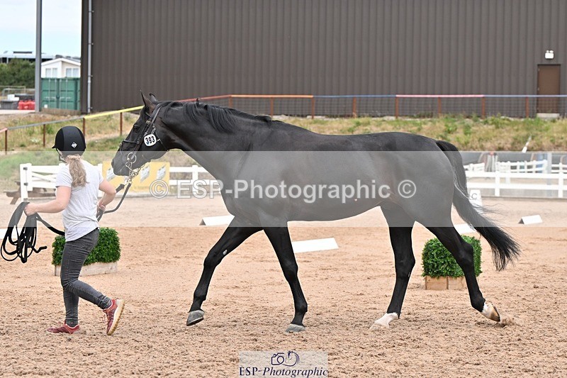 250716-143753-01248 - Trot Up 2.30 to 3.30