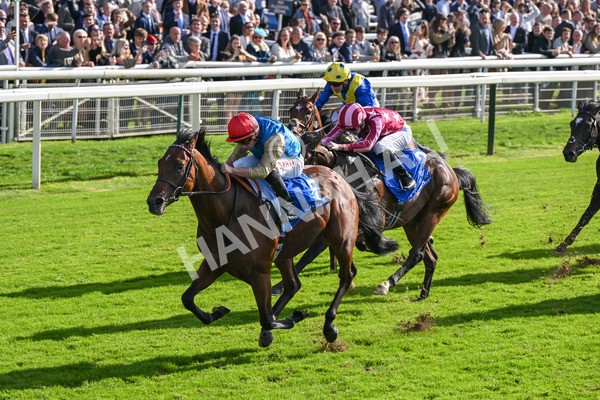 111025-Race 1-Division-8235 - Race 1 Coral Rockingham Stakes at York