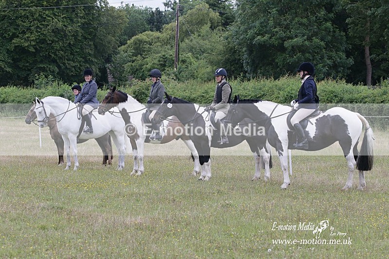 BVRC 030721 787 - Bourne Valley Riding Club Dressage 03/07/21