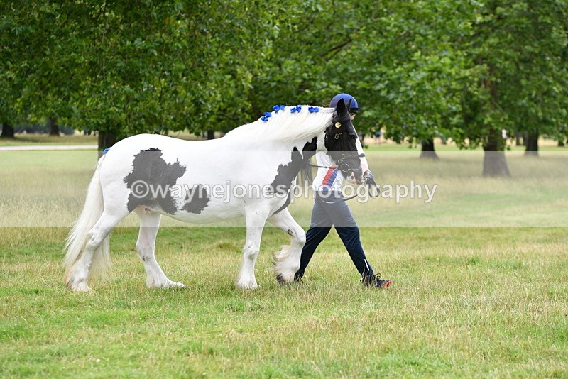 WJ5_9839 - Time at Jump 09:22 to 10:43