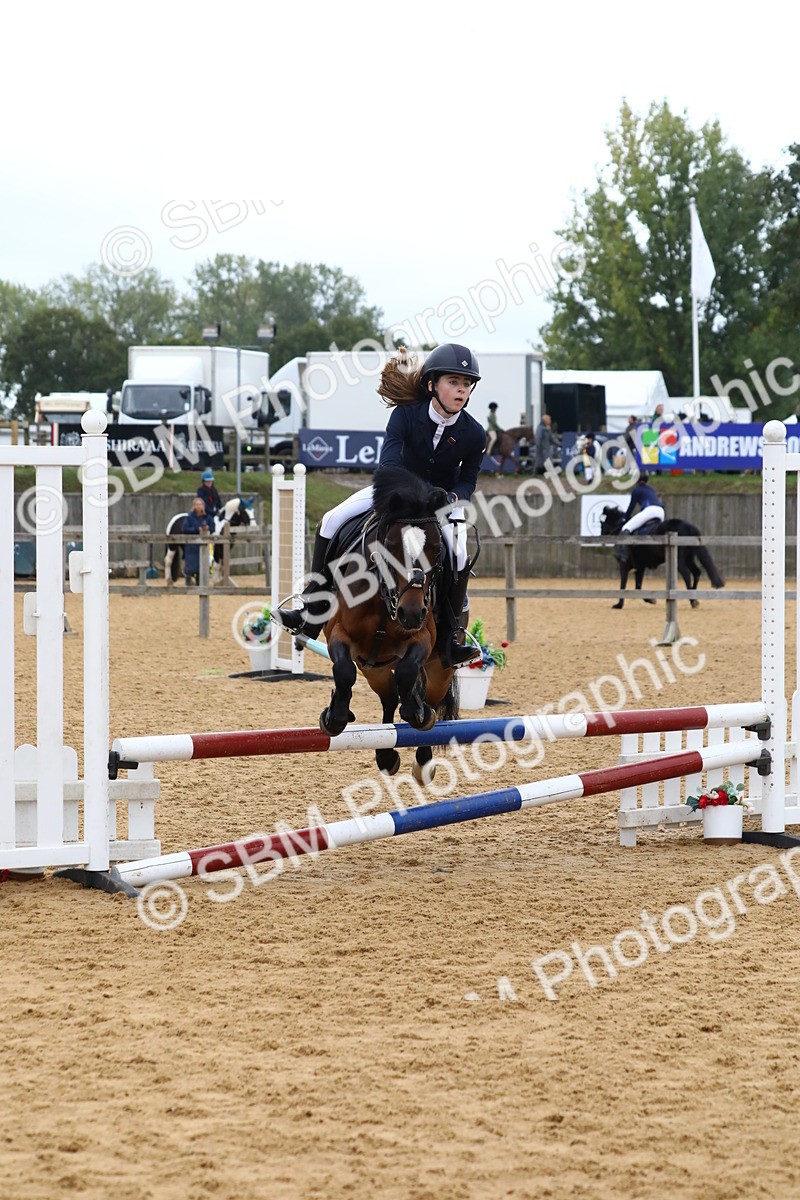SBM_62295 - J64 - Junior Pony 60cm Championship