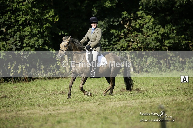BVRC 120921 160 - Bourne Valley Riding Club UA Dressage & Show Jumping 12/09/21
