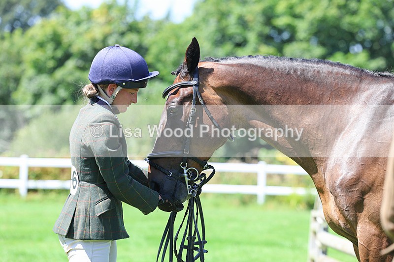 3E7A9086 - Class 6: Open Working Horse