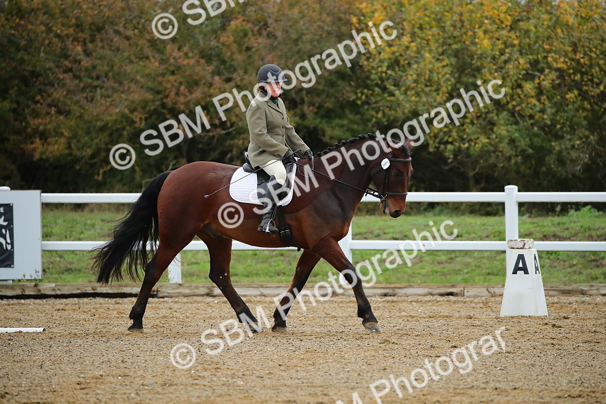 SBM_000383 - Intro 2